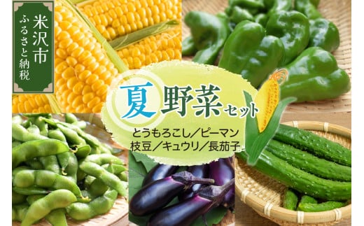 《 先行予約 》 【 令和7年産 】 夏野菜 セット トウモロコシ ピーマン 長茄子 キュウリ 枝豆 〔 8月上旬～下旬頃お届け 〕 2025年産 1321730 - 山形県米沢市