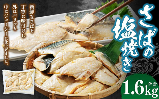 さばの塩焼き 合計1.6kg 1687398 - 北海道小樽市
