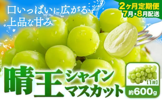 【2ヶ月定期便】ぶどう シャインマスカット 晴王 600g 1房 ハレノフルーツ(アストライ)《7月上旬-8月末頃出荷》岡山県 浅口市 送料無料 フルーツ 果物 マスカット お取り寄せフルーツ【配送不可地域あり】 st-p