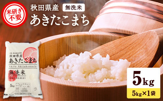 秋田県産あきたこまち 5kg 無洗米 令和6年産 新米 あきたこまち 米 ふるさと納税 ふるさと 人気 ランキング [B15-2501]