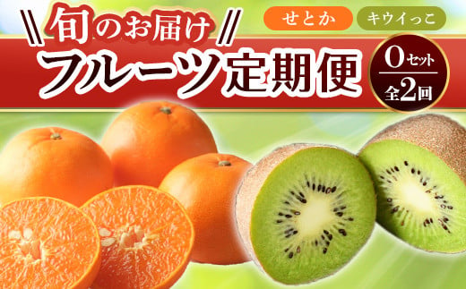 【旬のお届け フルーツ定期便 2回】Oセット せとか 約5.0kg キウイっこ 約1.8kg みかん キューイ キウイ 旬 フルーツ 果物 国産 香川県  F5J-814