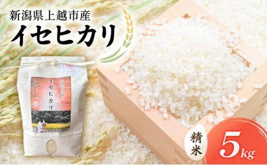 【新潟県上越市産】奇跡のお米　イセヒカリ　5kg 米 お米 いせひかり ご飯 精米 新潟 上越 1698508 - 新潟県上越市