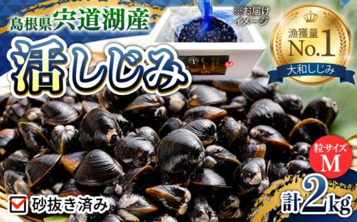 新鮮採れたて！宍道湖産活大和しじみ(M)2kg(砂はき済み) 島根県松江市/平野缶詰有限会社 [ALBZ015] 641500 - 島根県松江市