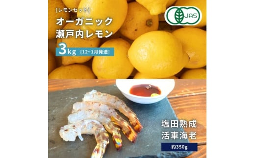 【NHK うまいッ！で紹介】[予約] オーガニック瀬戸内レモン 3kg(12~1月発送) / 塩田熟成活車海老 350g(11~2月発送) オーガニック 有機レモン 有機JAS 果汁100% レモン えび エビ エビフライ 晩酌 国産 瀬戸内 濃厚 甘さ控えめ 免疫力向上 健康 ビタミンC クエン酸 抗酸化 ソーダ 炭酸水