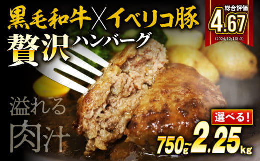 【6月発送】黒毛和牛 イベリコ豚 合挽ハンバーグ 150g 15個 2.25kg 冷凍 無添加パン 国産 和牛 牛肉 牛 豚肉 イベリコ 豚 合い挽き 合いびき 合挽ハンバーグ 手作り 手ごね 小分け 真空 パック 簡単 調理 おかず 惣菜 晩ごはん 美味しい おいしい 贅沢 高級 ギフト 歳暮 贈答 大阪 松原