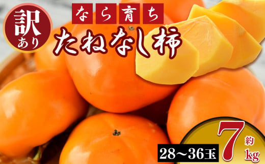 【 令和7年分 先行予約 】【なら育ち】たねなし柿　訳アリ　約7kg（28玉～36玉） | フルーツ 果物 くだもの 柿 かき カキ 奈良県 五條市 1703453 - 奈良県五條市