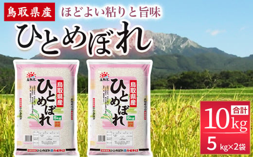 鳥取県産 ひとめぼれ （5kg×2袋） パールライス お米 米 こめ コメ 白米 ブランド おいしい 健康 産地直送 米10キロ ひとめぼれ 10kg 倉吉 倉吉市 514109 - 鳥取県倉吉市