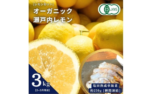 オーガニック瀬戸内レモン 3kg(2~3月発送) / 塩田熟成活車海老 250g(瞬間凍結) オーガニック 有機レモン 有機JAS 果汁100% レモン えび エビ エビフライ 晩酌 国産 瀬戸内 濃厚 甘さ控えめ 免疫力向上 健康 ビタミンC クエン酸 抗酸化 ソーダ 炭酸水