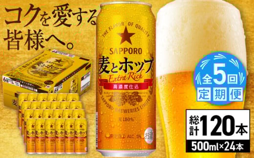 【全5回定期便】サッポロ 麦とホップ 500ml×24缶 合計120缶 日田市 / 株式会社綾部商店　ビール サッポロ お酒 酒 日田[ARDC136] 1687442 - 大分県日田市