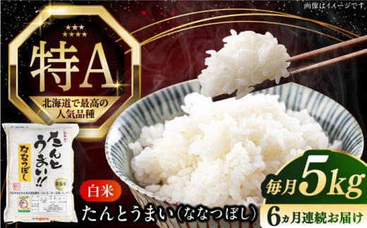 【全6回定期便】【令和6年産】たんとう米（ななつぼし）5kg《厚真町》【とまこまい広域農業協同組合】 米 お米 白米 ご飯 ななつぼし 北海道 定期便 [AXAB077] 1694376 - 北海道厚真町