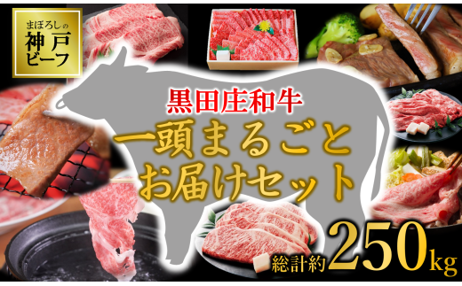 [まぼろしの神戸ビーフ]黒田庄和牛1頭まるごとお届けセット (10000-1)肉 niku にく オーダー 定期便 完全受注 個別対応 カスタム 黒田庄和牛 焼肉 すき焼き しゃぶしゃぶ ステーキ 丸ごと まるごと 1頭買い