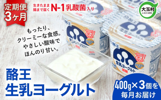 ヨーグルト 定期便 400g ×3個  3ヶ月 《 酪王 生乳 ヨーグルト 加糖 》｜ 香料 安定剤 不使用  乳酸菌 腸活 プロバイオティクス 健康 美容 福島 ご当地 乳製品 朝食 1200g 1.2kg 酪王乳業 福島県 大玉村 ｜ pl-yo-400g-3s-t3 1688366 - 福島県大玉村