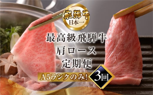 【定期便 3回】高級 飛騨牛食べ比べ 定期便 3カ月 毎月 【冷蔵配送】 定期 贈答 ギフト 牛肉 焼き肉 牛 下呂 焼肉 ブランド牛 下呂魚介 肩ロース すき焼き しゃぶしゃぶ 下呂市 1544238 - 岐阜県下呂市