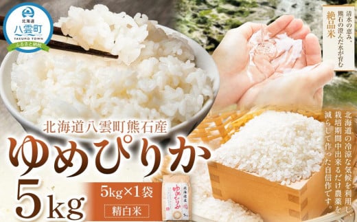 北海道八雲町熊石産 令和6年度産ゆめぴりか5kg(精白米)24年10月上旬～発送開始【 北海道八雲町熊石産 ゆめぴりか 5kg 精白米 米 お米 おこめ コメ こめ おうちごはん 家庭用 八雲町 北海道 年内発送 年内配送 】 1525921 - 北海道八雲町