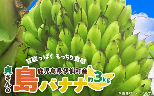 貞さんの島バナナ約3kg【1404057】 805886 - 鹿児島県伊仙町