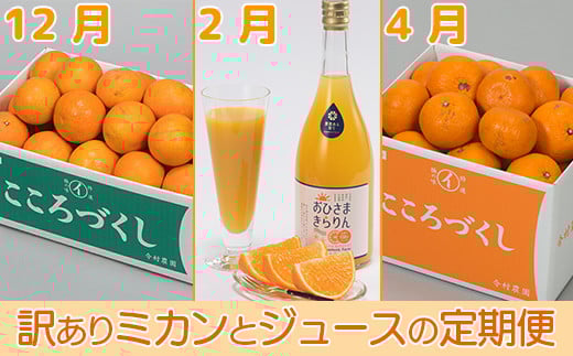 今村農園の訳ありミカンとジュースの定期便（１２月・２月・４月）【たっぷりコース】＜107-802_6＞ 243817 - 大分県杵築市