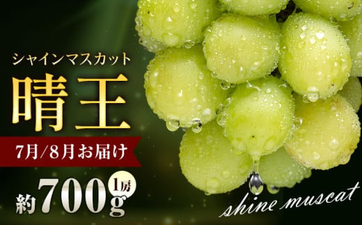 ぶどう シャインマスカット 晴王 700g 1房 彩美菜果《7月上旬-9月中旬頃出荷》 マスカット 送料無料 岡山県 浅口市 フルーツ 果物 贈り物 国産 岡山県産 くだもの 果物 青果物 7月～8月発送 【配送不可地域あり】 st-p