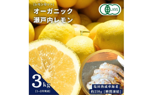 オーガニック瀬戸内レモン 3kg(1~2月発送) / 塩田熟成活車海老 250g(瞬間凍結) オーガニック 有機レモン 有機JAS 果汁100% レモン えび エビ エビフライ 晩酌 国産 瀬戸内 濃厚 甘さ控えめ 免疫力向上 健康 ビタミンC クエン酸 抗酸化 ソーダ 炭酸水