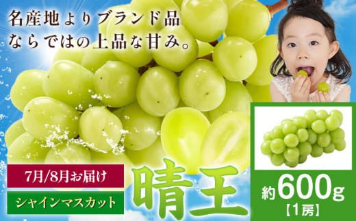 [先行予約]ぶどう シャインマスカット 晴王 600g ハレノフルーツ(アストライ)[2025年7月上旬-9月中旬頃出荷]岡山県 浅口市 送料無料 フルーツ 果物 マスカット お取り寄せフルーツ[配送不可地域あり] st-p