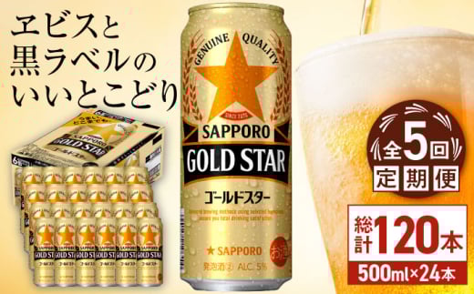 【全5回定期便】サッポロ GOLD STAR 500ml×24缶 合計120缶 日田市 / 株式会社綾部商店　ビール サッポロ お酒 酒 日田[ARDC124] 1687430 - 大分県日田市