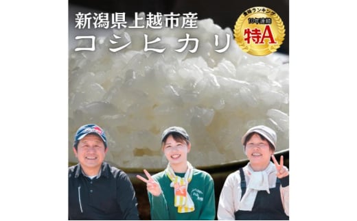 令和6年 新米 新潟県産コシヒカリ 5kg 上越市清里区 新潟 精米 白米 従来品種 希少 限定 おすすめ お届け：寄附の入金後、2週間程度で発送します 1698547 - 新潟県上越市