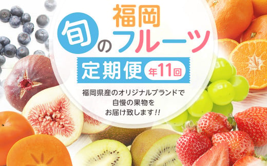 定期便/年6回】むなかた旬のフルーツ6回定期便【ほたるの里】_HB0090 - 福岡県宗像市｜ふるさとチョイス - ふるさと納税サイト