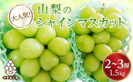 ＜2025年先行受付＞シャインマスカット　2～3房 1.5kg【1565515】 1544791 - 山梨県山梨市