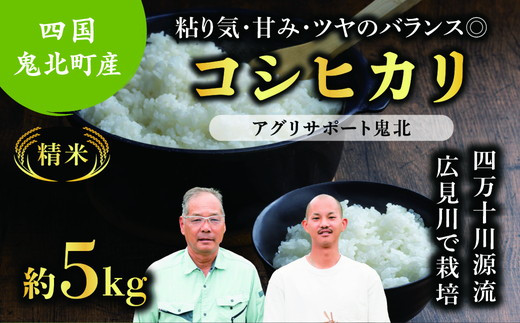 [先行予約][令和7年度産新米]コシヒカリ 約5kg (精米済み) | 精米 お米 米 白米 人気 ランキング 愛媛県 鬼北町 四国 国産 アグリサポート鬼北 ※離島への配送不可 ※2025年10月頃より順次発送予定