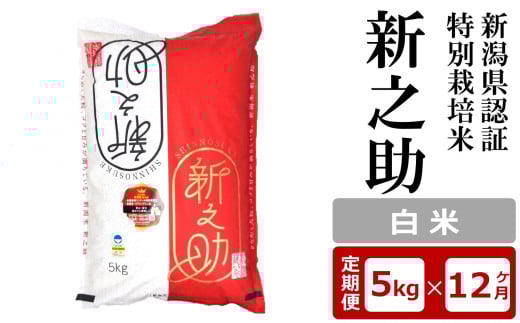 【12ヶ月定期便】新潟県認証特別栽培米 新之助 白米 5kg×12回（計 60kg）アグリーホンマ[Y0374]