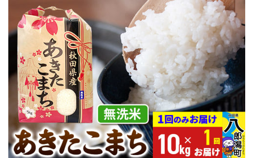 あきたこまち 10kg【無洗米】令和6年産 秋田県産 こまちライン 1685760 - 秋田県八郎潟町