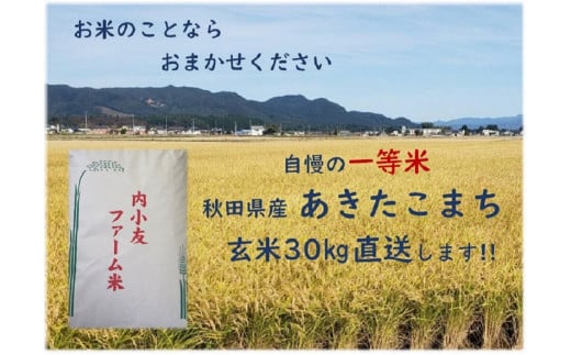 令和6年産 秋田県産あきたこまち 一等米 農家直送 玄米30kg　内小友ファーム