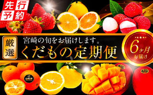 《2025年発送先行予約》【期間・数量限定】青果店厳選！「6ヶ月お届け！くだもの定期便Vol.3」_M153-T027 1001450 - 宮崎県宮崎市