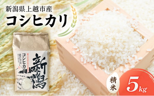 【新潟県上越市産】コシヒカリ（特別栽培米）　5kg 米 お米 こしひかり ご飯 精米 新潟 上越 1698505 - 新潟県上越市