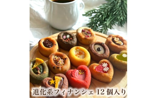 進化系フィナンシェ！ティグレ全12種類詰め合わせセット