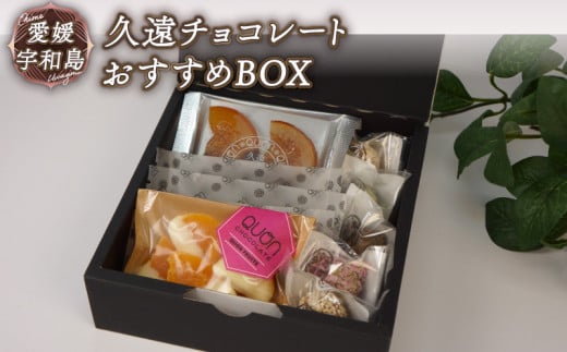 チョコ セット 久遠チョコレート おすすめBOX テリーヌ ロッシェ フルーツミニ オランジェ おまかせ チョコ チョコレート フルーツ 焼き菓子  洋菓子 菓子 お菓子 スイーツ ギフト プレゼント 詰め合わせ 愛媛 宇和島 J010-167004 - 愛媛県宇和島市｜ふるさとチョイス ...