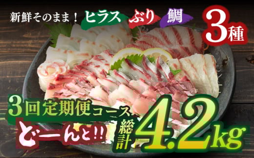 平戸市 鮮 魚 ブロック 3種 計約4.2kg （約1.4kg/回）百旬館 