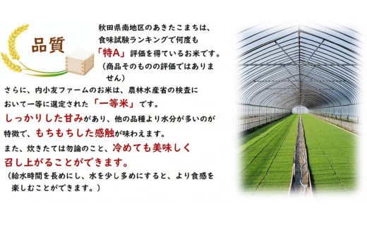 秋田県大仙市のふるさと納税 令和6年産 秋田県産あきたこまち 一等米 農家直送 玄米30kg　内小友ファーム