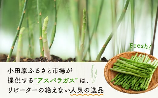 大分県豊後高田市のふるさと納税 グリーンアスパラガス（800g）【7月～9月配送】