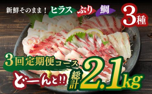 【お好みの厚さで！】平戸市 鮮魚 ブロック 3種 計約2.1kg（約700g/回）百旬館 