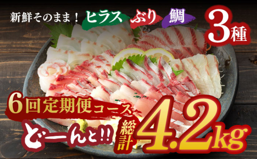 平戸市 鮮魚 ブロック 3種 計約4.8kg （約800g/回）百旬館 