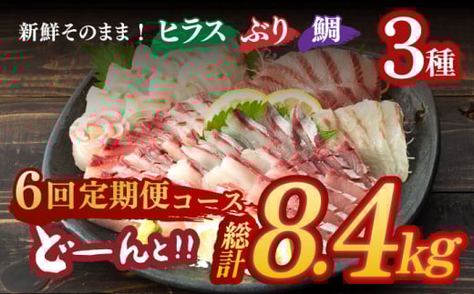 平戸市 鮮魚 ブロック 3種 計約8.4kg（約1.4kg/回）百旬館 