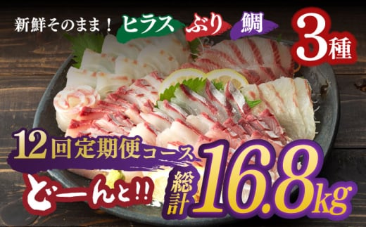 平戸市 鮮魚 ブロック 3種 計約16.8kg （約1.4kg/回）百旬館 