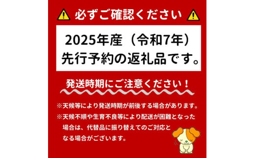 山形県三川町のふるさと納税 ★先行予約★【令和7年産】成澤さんの厳選！【2玉入】高糖度大玉メロン ※令和7年6月中下旬より発送開始予定