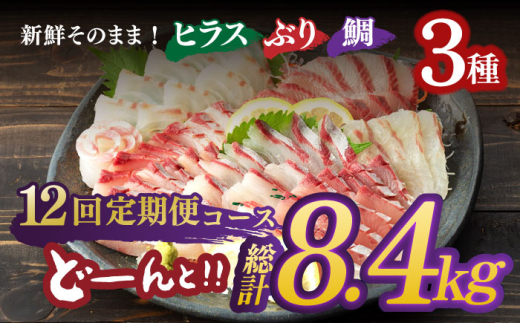 平戸市 鮮魚 ブロック 3種 計約9.6kg （約800g/回）百旬館 