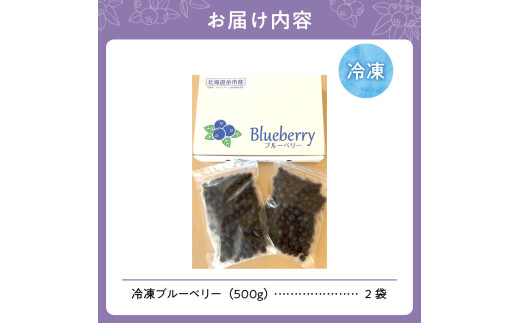 北海道余市町のふるさと納税 冷凍ブルーベリー 500g×2袋（チャック付き袋）【アイケイファーム余市】