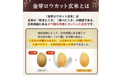 埼玉県坂戸市のふるさと納税 金芽ロウカット玄米ごはん　150g×3P×8_ ロウカット 玄米 ご飯 こめ コメ 米 金芽 パックご飯 便利 常備 備蓄 人気 おすすめ 国産 贈答 ギフト 送料無料 簡単調理 手軽 パック 小分け レンチン うるち米 【1538014】