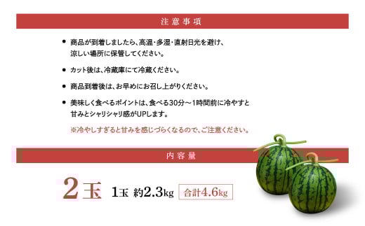 植木ブランド 小玉すいか
