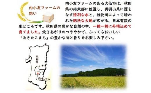 秋田県大仙市のふるさと納税 令和6年産 秋田県産あきたこまち 一等米 農家直送 無洗米10kg　内小友ファーム