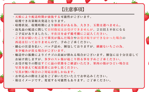 佐賀県産 いちご「かおりの」（250g×2パック）：A080-006 - 佐賀県佐賀市｜ふるさとチョイス - ふるさと納税サイト