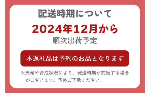 群馬県甘楽町のふるさと納税 [訳あり] 有機栽培キウイフルーツ (約4kg)【黒澤農園】｜数量限定 期間限定 キウイ ヘイワード 果物 果実 フルーツ 農家直送 産地直送 有機栽培 国産 甘楽町産 群馬県産 訳あり品 [0255]